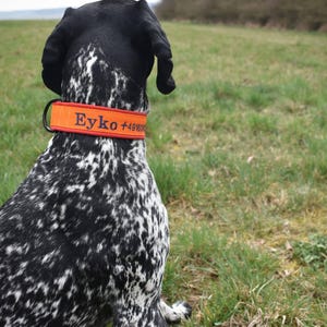 B added a photo of their purchase