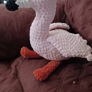 Halley added a photo of their purchase