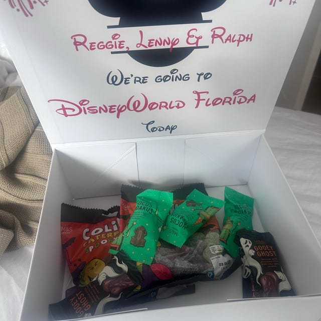 Personalised Disneyland/disneyworld Surprise Trip Reveal Box and