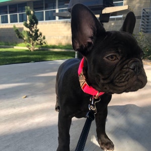 Chloe added a photo of their purchase