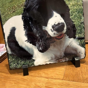 Alex added a photo of their purchase
