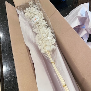 rayetta added a photo of their purchase