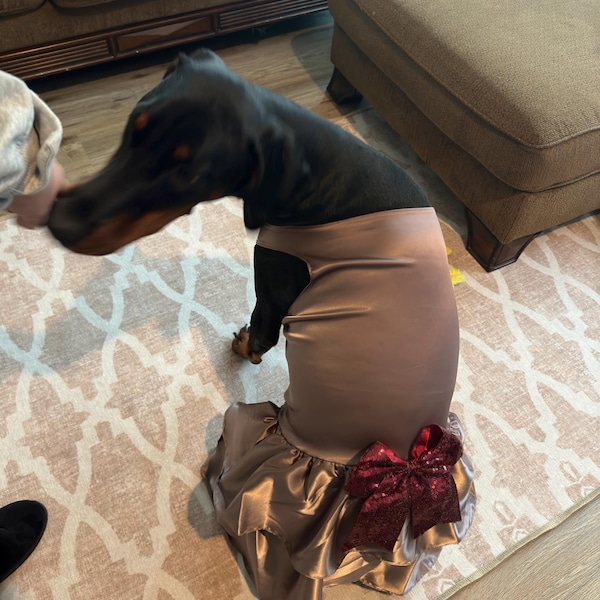 SMALL DOG - Ivory Wedding Dress main image 0
