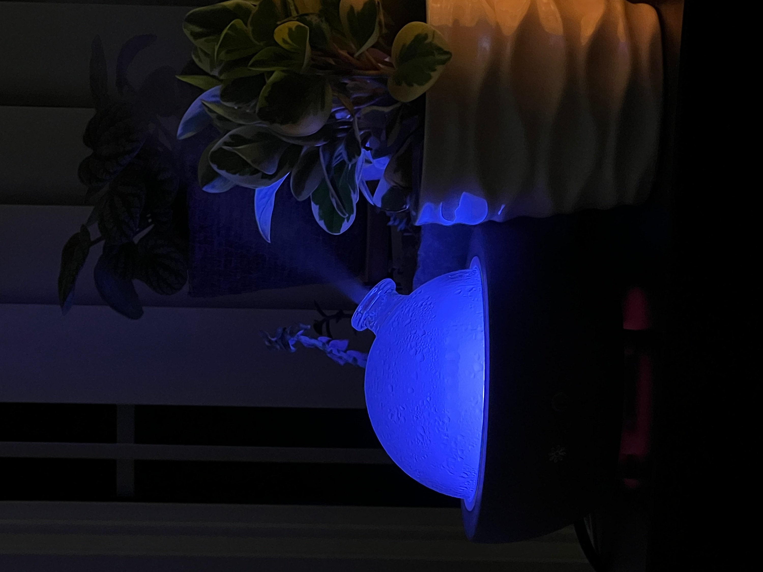 Black Ash Luna | Glass Dome & Speckled Concrete Diffuser | Essential Oil Diffuser
