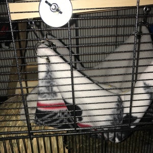 Shelby added a photo of their purchase