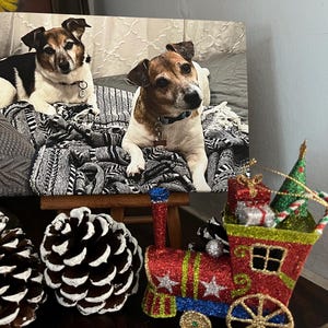 Etsy buyer added a photo of their purchase