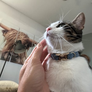 Cassie added a photo of their purchase