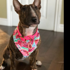 Inactive account added a photo of their purchase