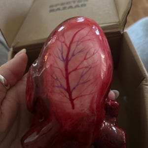 Stephanie added a photo of their purchase