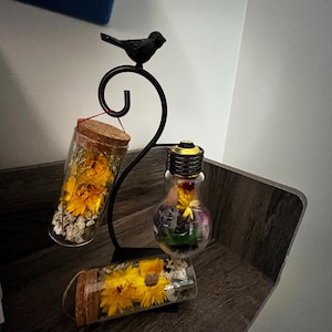 Prajakta heeft een foto van de aankoop toegevoegd