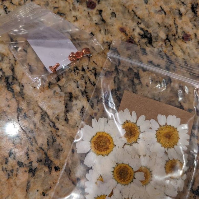 20 Pcs/pack 2-3CM Pressed Daisy Flower Real Dried Daisy Flowers Pressed  Daisies Preserved Flower Flat Dry Daisy Preservation Daisies 