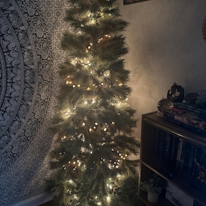 lisette added a photo of their purchase