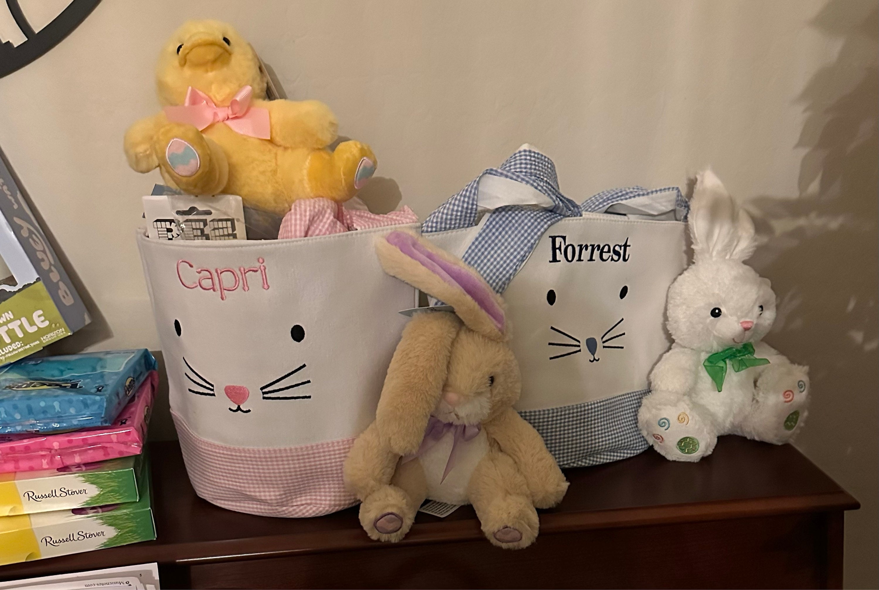 Easter basket, Personalized Easter Basket, monogram easter basket, girls basket, boys basket, girls easter basket, embroidered, Check, bag