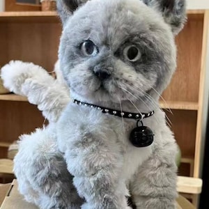 Silke added a photo of their purchase