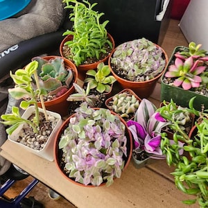 Nancy added a photo of their purchase
