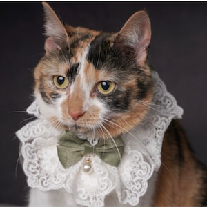 Baby Blue Pink Soft Lace Ruffled Collar Cute Cat Handmade Neckwear ...
