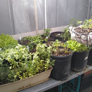 Jackie dodał(a) zdjęcie swoich zakupów