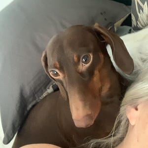 Lisa ha añadido una foto de su compra