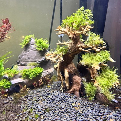 Natural Aquarium Hardscape Aquascape Rocks Cave Fish Tank Decorations ...