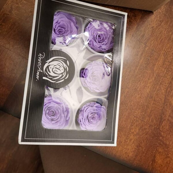 Preserved Rose Six Packs in Size L, Make Your Own Centerpieces and ...