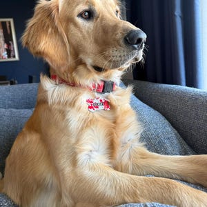 Dana ha añadido una foto de su compra