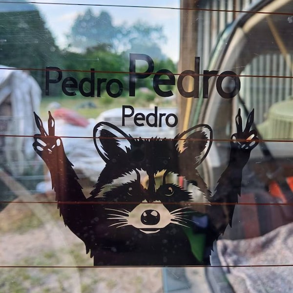 Racoon Sign Language Raccoon Peace Funny Raccoon V Sign Commercial Cute Racoon Victoria ...
