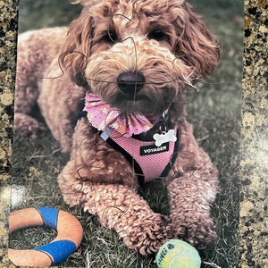 Barbara added a photo of their purchase