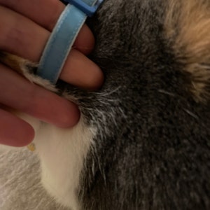 Sage added a photo of their purchase