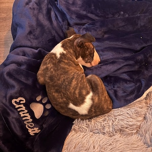 Stacey added a photo of their purchase