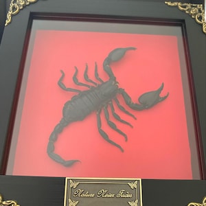 Naomi added a photo of their purchase
