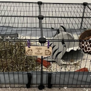 Melanie added a photo of their purchase