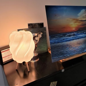 Carol added a photo of their purchase