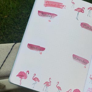 Carrington added a photo of their purchase