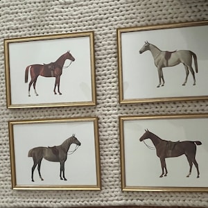 Brooke さんが購入した商品の写真を追加しました