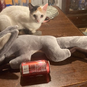 Kel added a photo of their purchase
