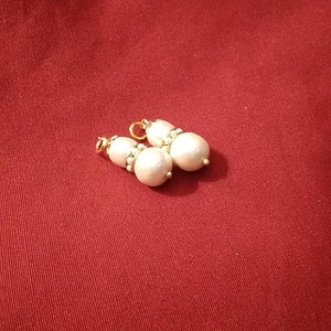 Alice added a photo of their purchase