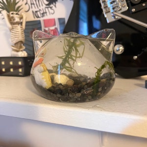 Mateo added a photo of their purchase