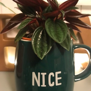 Deborah added a photo of their purchase