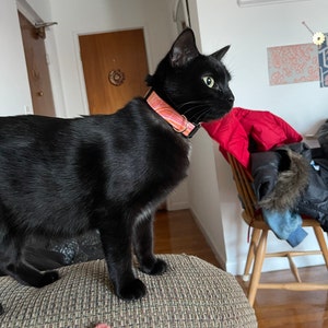 Olivia added a photo of their purchase