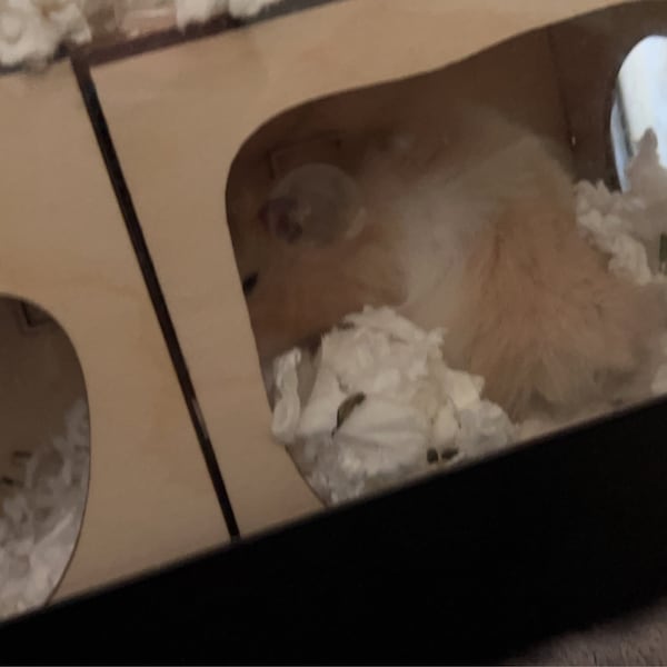 Image showcasing Hamster Tunnel/ Hamster Cave Hideout/ Chamber Rooms/ Hamster Digging ...
