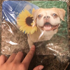 Abigail added a photo of their purchase