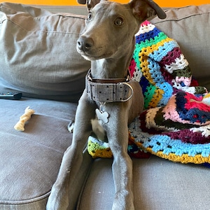 Stella ha añadido una foto de su compra