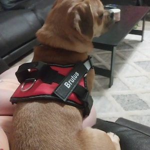 Amanda added a photo of their purchase