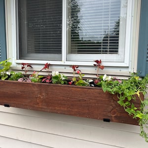 Anna added a photo of their purchase