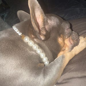 Stephanee added a photo of their purchase