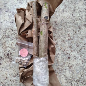 Polen added a photo of their purchase