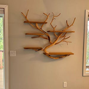 Connie added a photo of their purchase