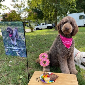 Ethel added a photo of their purchase