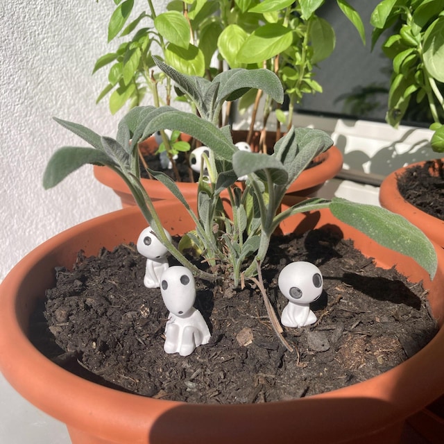 Kodama / Tree Spirits - Etsy