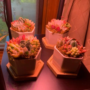 Joette added a photo of their purchase